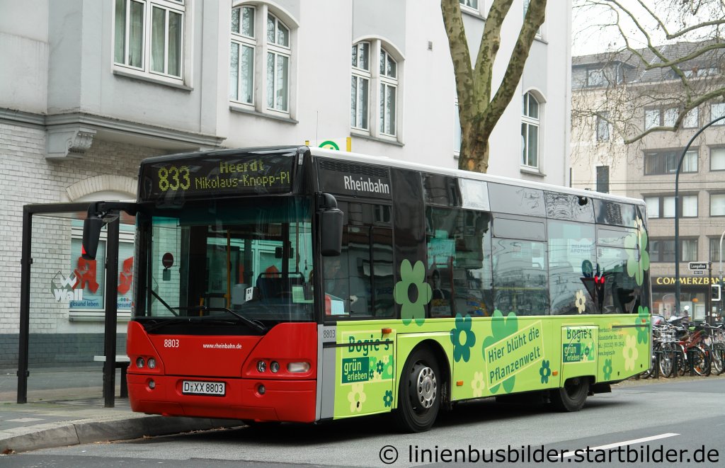 Rheinbahn 8803 mit Werbung fr Bogies.
Aufgenommen in Dsseldorf Oberkassel am 5.3.2011.